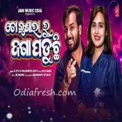 To Ishara Ru Jana Paduchi